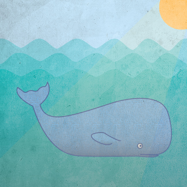 whale3